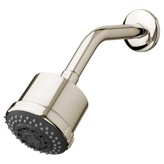 DXV D35101775.150 ASHBEE Showerhead & Ark Low Flow, Platinum Nickel